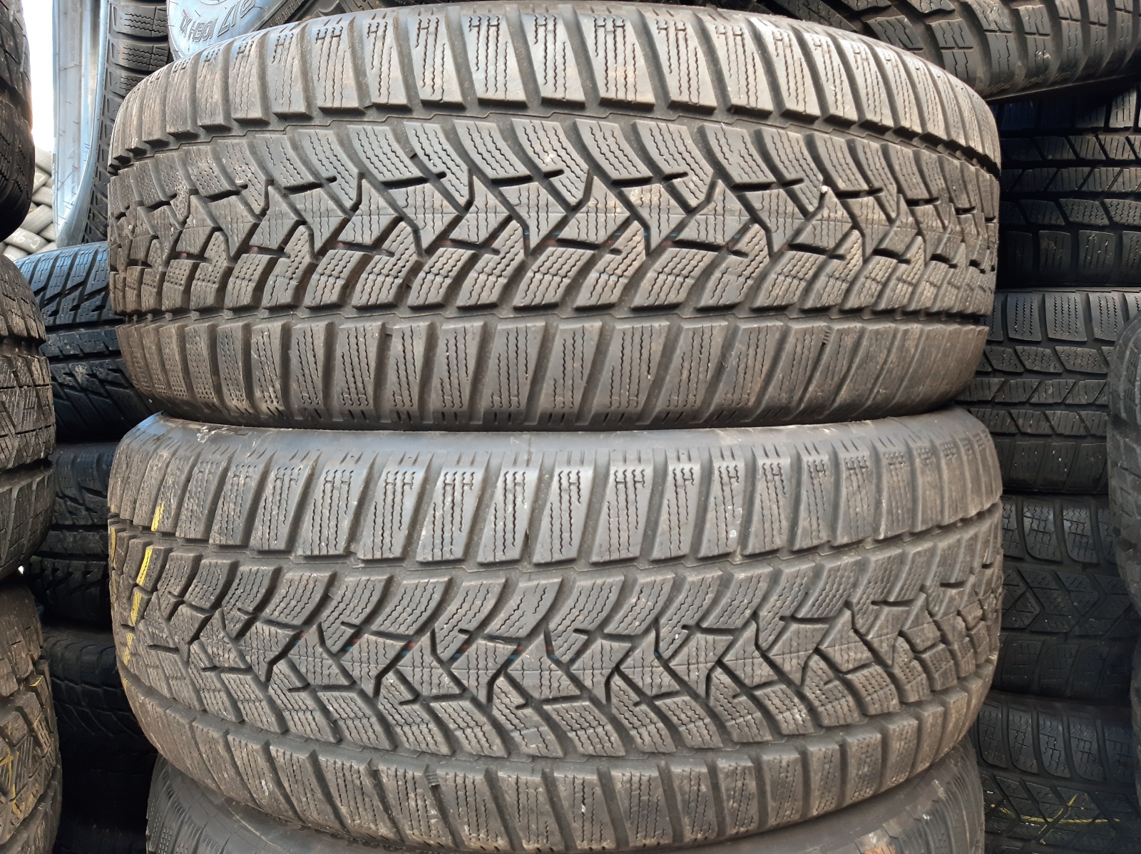 lamellrehv Dunlop SP WINTER SPORT 5